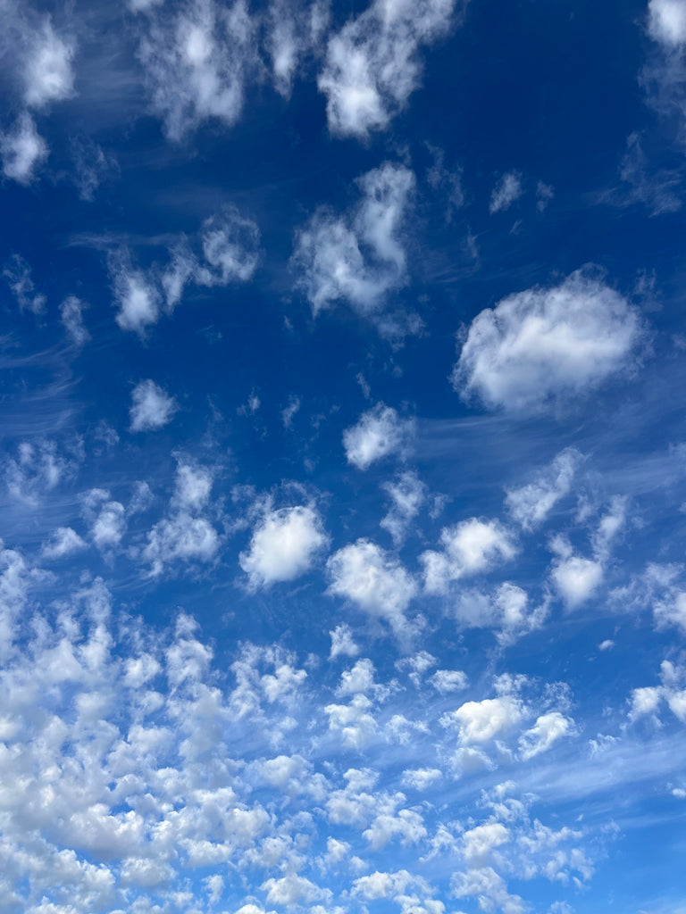 Resilience and Following Your Dreams