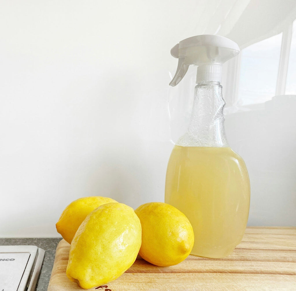 Spring Cleaning the Natural Way