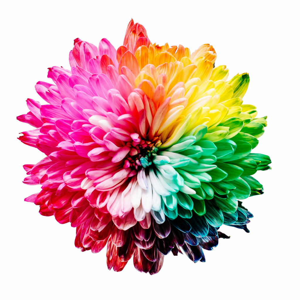 It’s All in the Colors