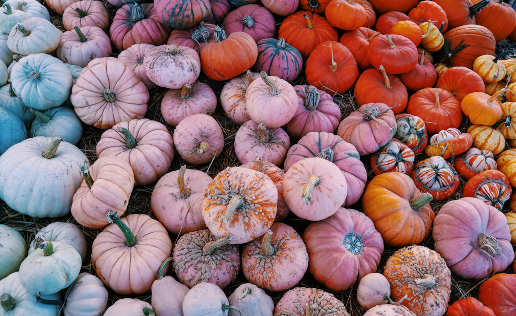 Summerween – Why Fall is Starting Before Summer Gets the Hint