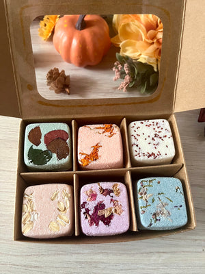 Assorted Botanical Bath Bombs